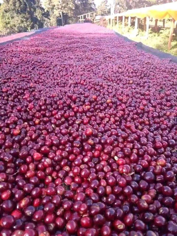 whatsapp image 2026 01 13 at 21.37.02 (2)