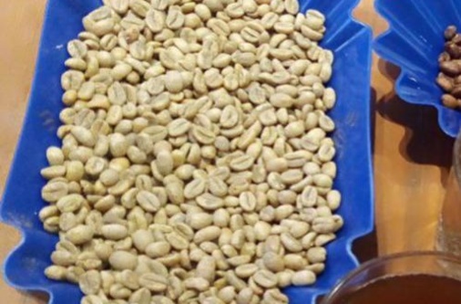 processed whatsapp image 2026 01 13 at 21 (1)