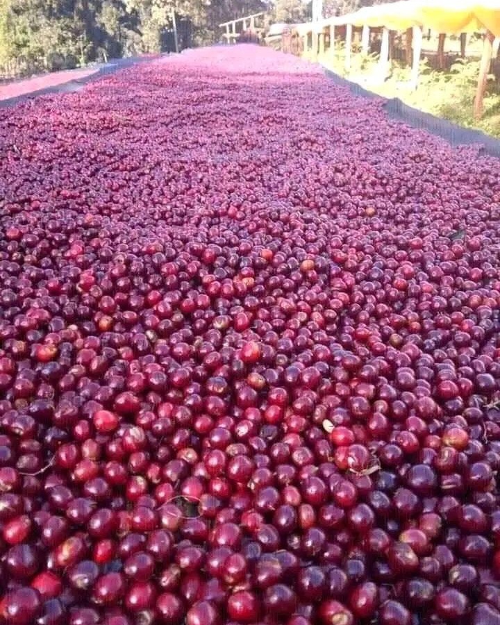 processed whatsapp image 2026 01 13 at 21 (3)