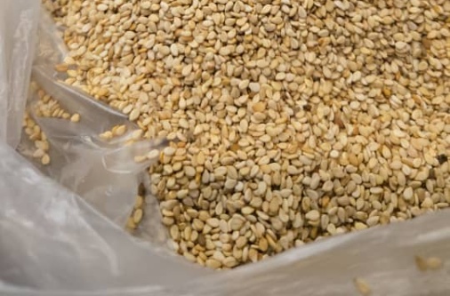 processed whatsapp image 2026 01 13 at 21 (3)