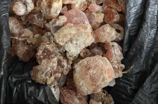 processed whatsapp image 2026 01 13 at 21 (5)