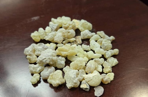 processed whatsapp image 2026 01 13 at 21 (7)