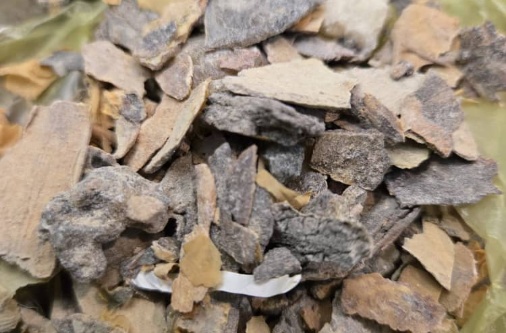 processed whatsapp image 2026 01 13 at 21 (8)