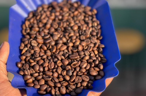 processed whatsapp image 2026 01 13 at 21