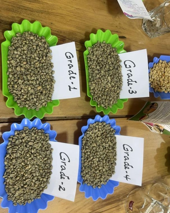 processed whatsapp image 2026 01 16 at 13